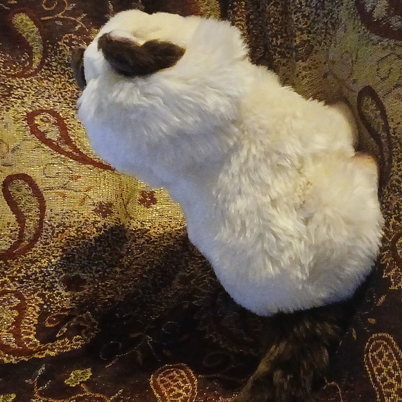 Russ yomiko classic cat - Picture 3 of 4